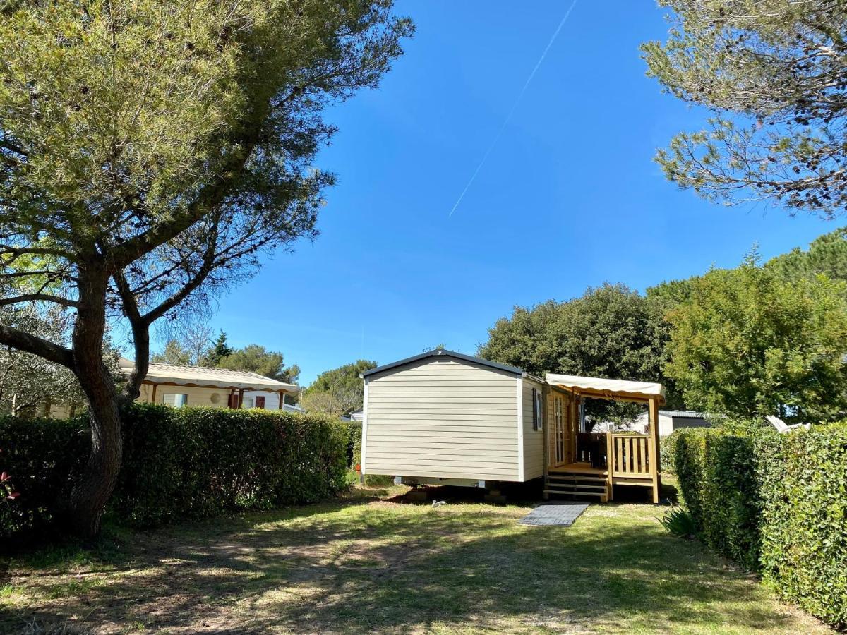 New Jungle Lake - Clim - Wifi - Draps & Serviettes - Bbq - 10' Des Plages 라테 외부 사진
